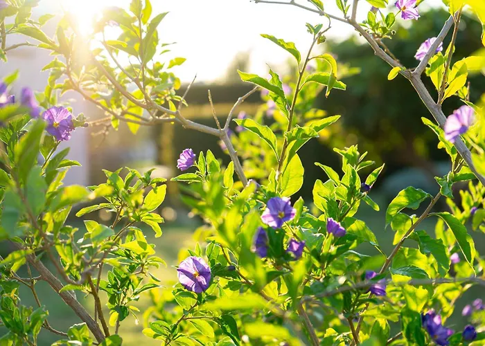 Family With A Bbq & Shared Pool In 15 Min Walk From 沃迪切